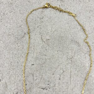 img_4595 Hartjes ketting - goudkleurig