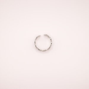 Ring zilveren open hartjes - 02 Hartjes ring (goud en zilver)