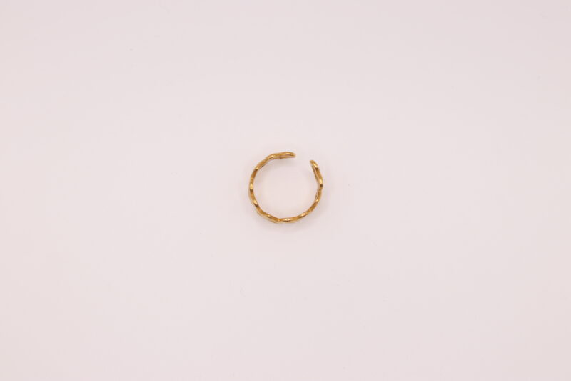 Ring open hartjes Hartjes ring (goud en zilver)