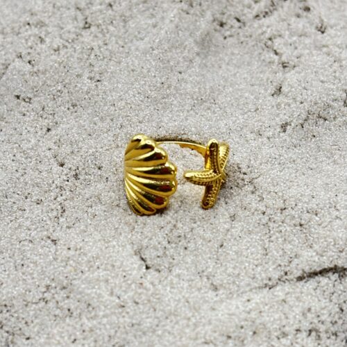 Ring met schelp en ster