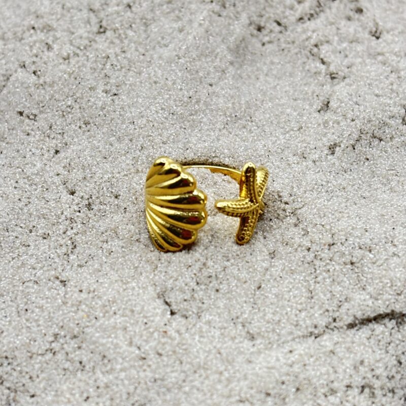 img_4514 Ring met schelp en ster