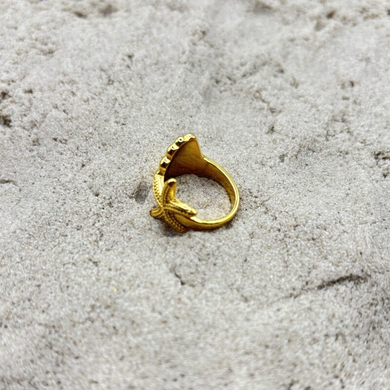 img_4515 Ring met schelp en ster