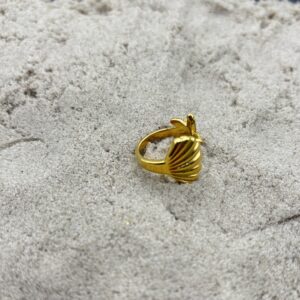 img_4516 Ring met schelp en ster