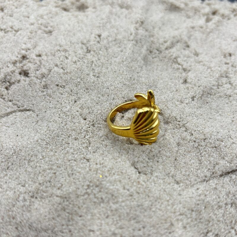 img_4516 Ring met schelp en ster